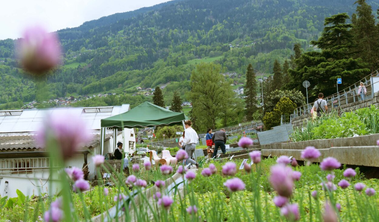 Vente de plantes dans le jardin culturel de Malevoz