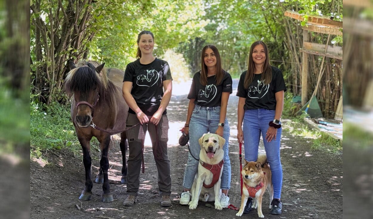 La zoothérapie a été invitée à l’hôpital de Siere