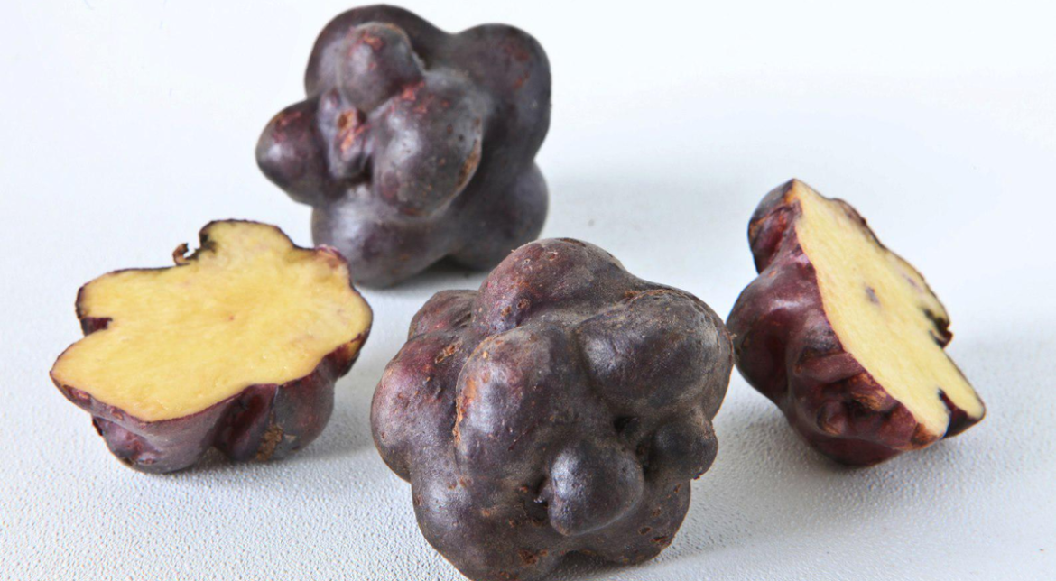 Le mystère des pommes de terre qui définissent les mariages dans les Andes péruviennes